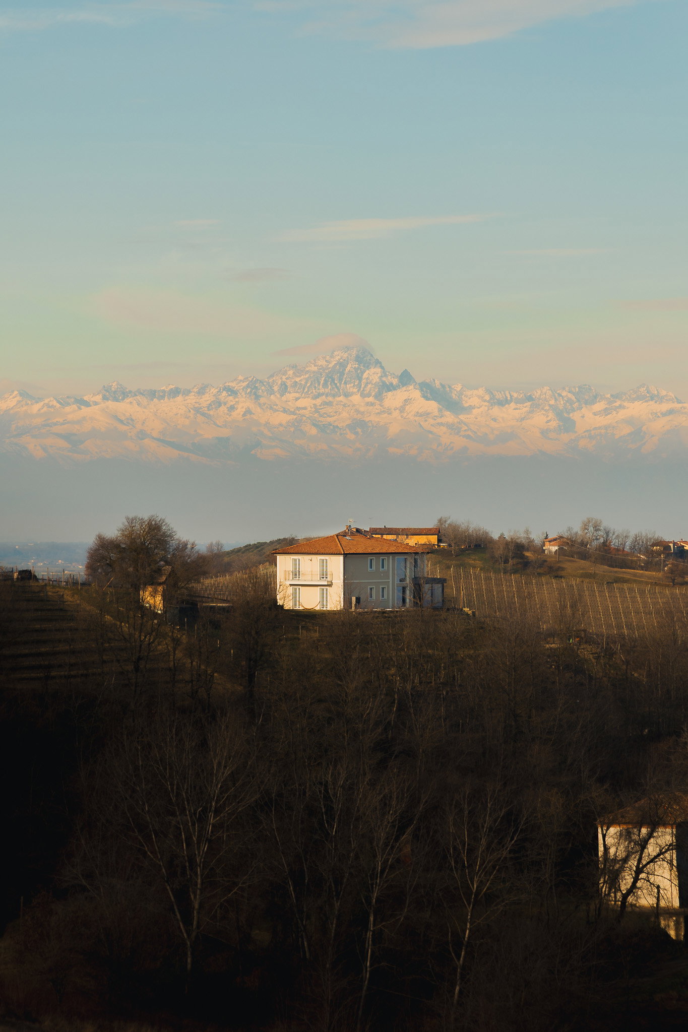 House in Piedmont