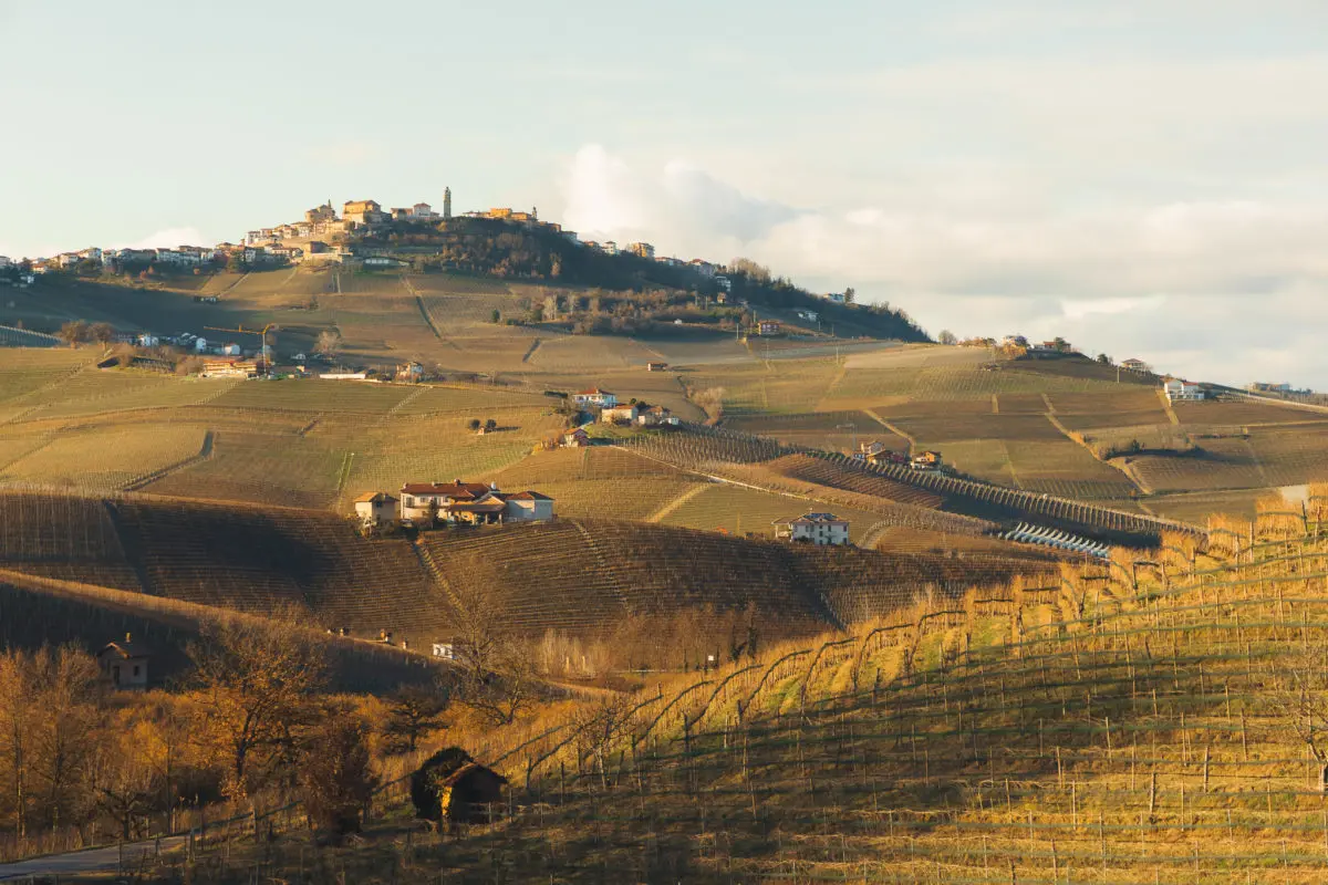 A Trip to Piedmont